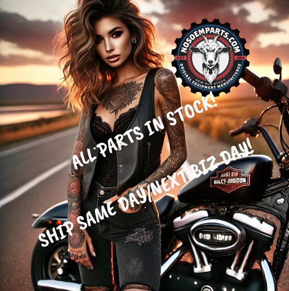 2004–2021 Harley-Davidson Sportster Engines & Components – OEM & Take-Off Cylinders, Pistons & Clutches