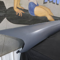 5029103AF NEW OEM 2003-2010 DODGE VIPER LEFT FRONT FENDER SRT-10 ACR 5029103AF