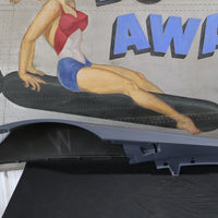 5029103AF NEW OEM 2003-2010 DODGE VIPER LEFT FRONT FENDER SRT-10 ACR 5029103AF