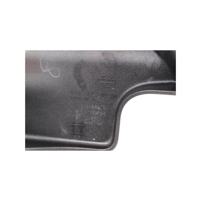 66613-11DGC NEW OEM HARLEY-DAVIDSON CVO RIGHT SIDE COVER AUTUMN HAZE FLHXSE2