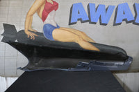 
              5029102AF NEW OEM 2003-2010 DODGE VIPER RIGHT FRONT FENDER SRT-10 ACR 5029102AF
            