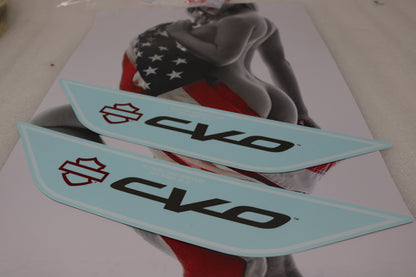 NEW OEM ORIGINAL HARLEY CVO SCREAMIN EAGLE DECALS PAIR FUEL TANK SADDLEBAGS FENDER FAIRING