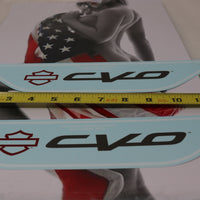NEW OEM HARLEY CVO SCREAMIN EAGLE DECALS PAIR FUEL TANK SADDLEBAGS FENDER FAIRING