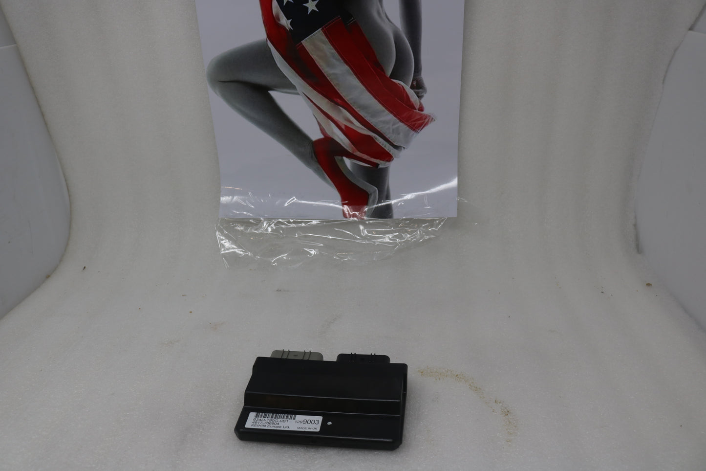 T1299345 NEW OEM 2009-2020 TRIUMPH THUNDERBIRD 1600 1700 ECM BASE