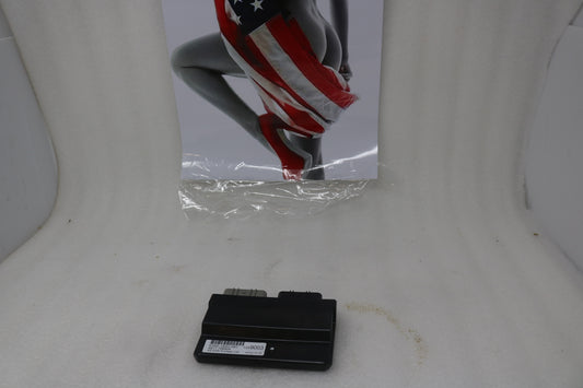 T1299345 NEW OEM 2009-2020 TRIUMPH THUNDERBIRD 1600 1700 ECM BASE