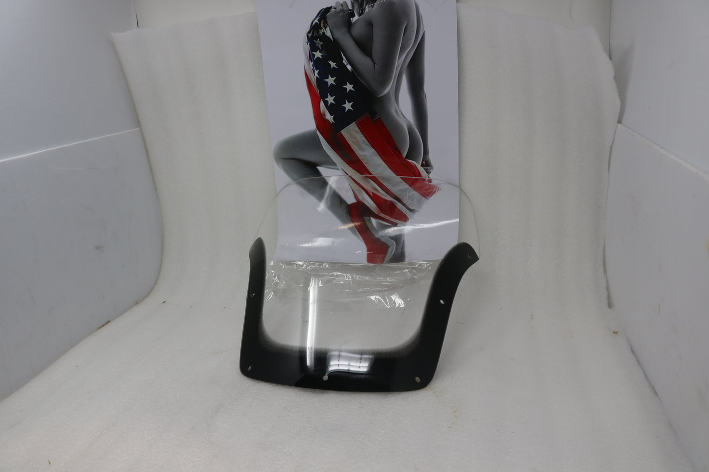 T2300865 NEW OEM 1991-2004 TRIUMPH TROPHY CLEAR WINDSCREEN WINDSHIELD