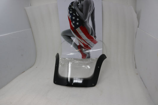 T2300865 NEW OEM 1991-2004 TRIUMPH TROPHY CLEAR WINDSCREEN WINDSHIELD