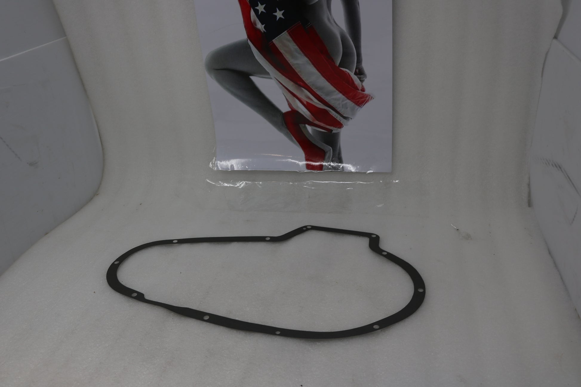 34955-67 NEW OEM 1967-1976 HARLEY-DAVIDSON SPORTSTER CHAIN GASKET