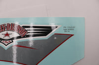 
              13523-07 NEW OEM 2007 HARLEY-DAVIDSON FLSTF SOFTIAL FATBOY RIGHT GAS TANK DECAL
            