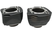 
              16500100 16500095 OEM NTO 2017-2023 HARLEY-DAVIDSON MILWAUKEE 8 M8 CYLINDERS
            