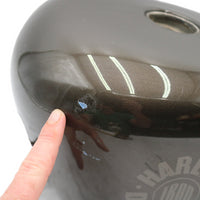 61000701 OEM 2007-2022 HARLEY-DAVIDSON SPORTSTER IRON GAS TANK