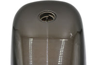 
              61000701 OEM 2007-2022 HARLEY-DAVIDSON SPORTSTER IRON GAS TANK
            