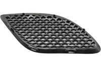 
              68141091AF NEW OEM 2013-2017 DODGE VIPER LEFT CENTER HOOD BEZEL ACR SRT GTS GTC
            