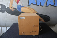 
              48663-08 NEW OEM 2008-2011 HARLEY-DAVIDSON FXCW/C SOFTAIL ROCKER CHROME SWINGARM
            