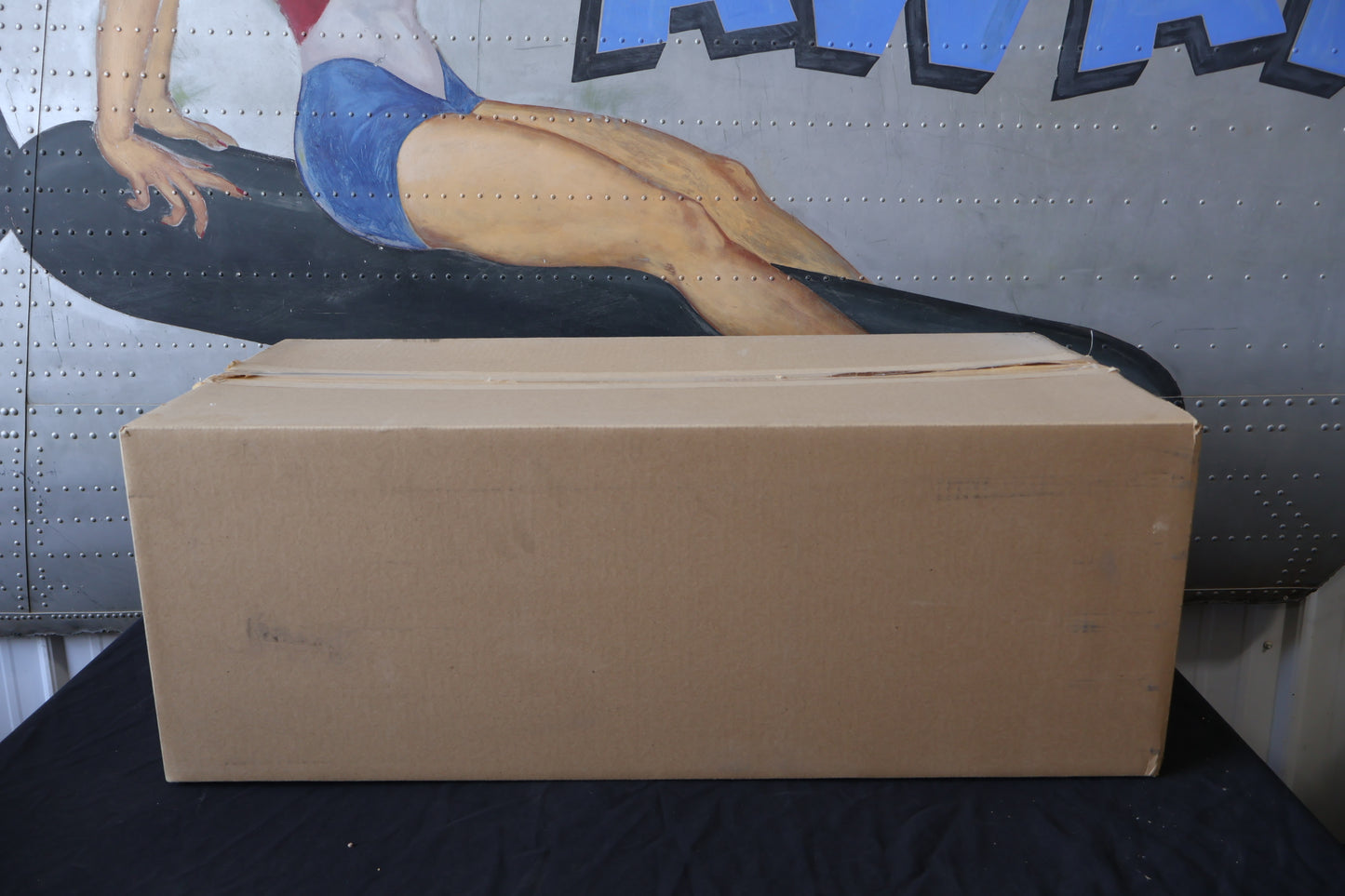 58900138EAS NEW OEM 2016 HARLEY-DAVIDSON FLHTKSE SCREAMIN EAGLE LMT FRONT FENDER