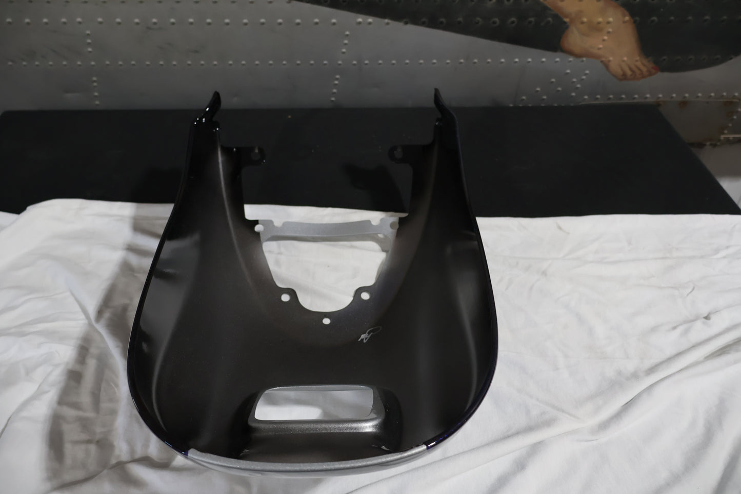 59823-09CWS NEW OEM 2009 HARLEY-DAVIDSON VRSCAW VROD REAR FENDER