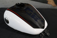 
              61000806ERP NEW OEM 2021 HARLEY-DAVIDSON FLHXSE CVO STREET GLIDE GAS TANK
            