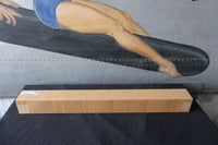 
              88696-67 NEW OEM 1991-2011 HARLEY-DAVIDSON SIDECAR SIDE CAR TLE RLE BODY TRIM
            