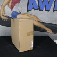 43300171 NEW OEM 2008-2017 HARLEY-DAVIDSON FLSTF SOFTAIL FATBOY FRONT WHEEL