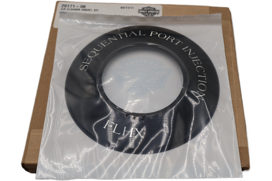 29171-06 NEW OEM 2006 HARLEY-DAVIDSON FLHX STREET GLIDE AIR CLEANER TRIM INSERT