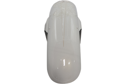 58900326EKS NEW OEM 2019 HARLEY-DAVIDSON FXBR SOFTAIL BREAKOUT FRONT FENDER BONN
