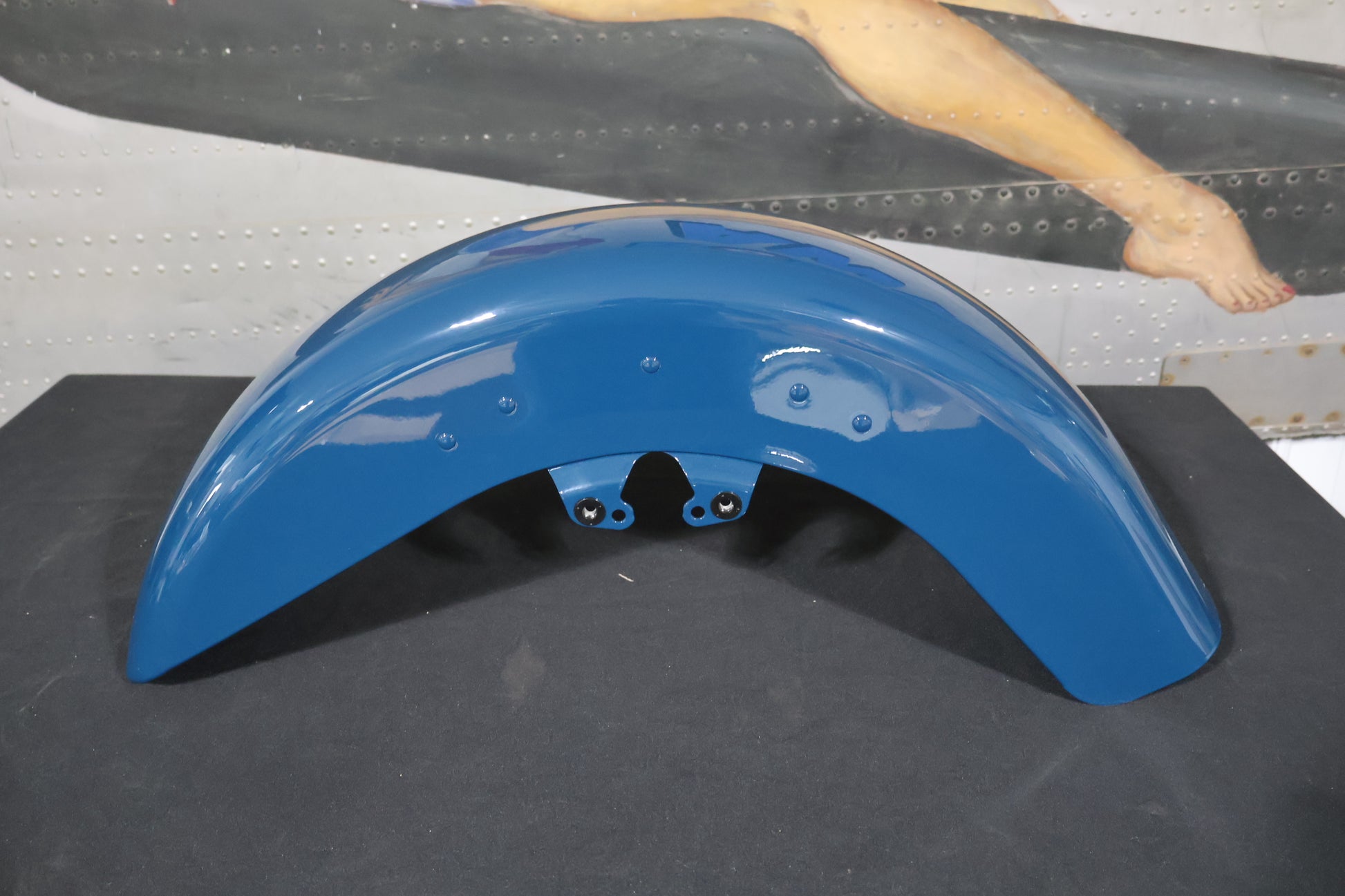 58900072ESK NEW OEM 2009-2023 HARLEY-DAVIDSON FLTRXS FRONT FENDER