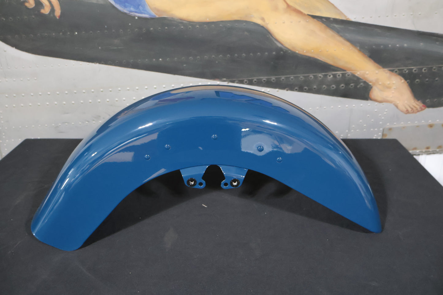 58900072ESK NEW OEM 2009-2023 HARLEY-DAVIDSON FLTRXS FRONT FENDER