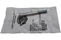 
              3500A NEW OEM HARLEY-DAVIDSON SCREW HEX HEAD 5/16"-18 X 2-3/4" W/LOCKPATCH
            