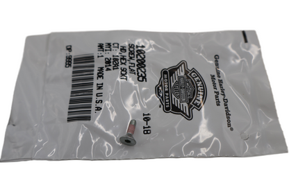 10200235 NEW OEM HARLEY-DAVIDSON CVO BREAKOUT AIR CLEANER SCREW FLAT HEAD HEX