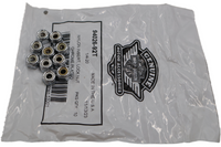 
              94026-92T NEW OEM HARLEY-DAVIDSON NYLON INSERT LOCK NUT 10-PACK
            