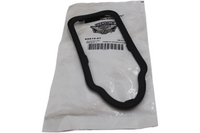 
              69810-07 NEW OEM 2007-2008 HARLEY-DAVIDSON FLHRSE3/4 TOMBSTONE TAIL LIGHT PAD
            