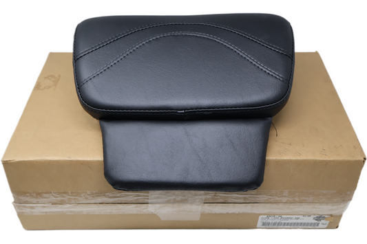 53019-04 NEW OEM 2004-2007 HARLEY-DAVIDSON FLHRS ROADKING CUSTOM T-PAK BACKREST