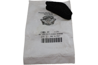 
              C0088.1AT NEW OEM 2009-2010 BUELL 1125CR FLYSCREEN PAD
            