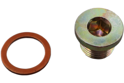 CA2501.1AM NEW OEM 2009-2010 BUELL 1125R/CR KIT PLUG W/SEALING WASHER