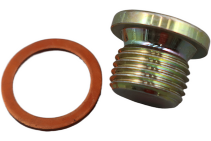 CA2501.1AM NEW OEM 2009-2010 BUELL 1125R/CR KIT PLUG W/SEALING WASHER