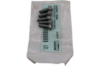 
              CA0061.1AMA NEW OEM BUELL SCREW HEX/TORX FLANGE M6X20
            