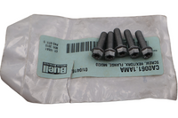 
              CA0061.1AMA NEW OEM BUELL SCREW HEX/TORX FLANGE M6X20
            