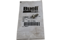 
              CA0049.1AM NEW OEM 2009-2010 BUELL 1125R/CR TAPTITE SCREW M6X16
            