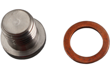 Q1050.1AM NEW OEM 2008-2010 BUELL 1125R/CR OIL DRAIN PLUG RIGHT SIDE