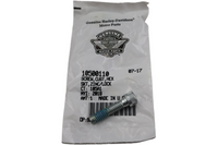 
              10500110 NEW OEM HARLEY-DAVIDSON CUST HEX SKT ZINC/LOCK SCREW 10500110
            