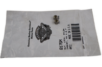 
              8176M NEW OEM 2006-2007 HARLEY-DAVIDSON VRSC VROD LOCKNUT NYLON INSERT 2-PACK
            