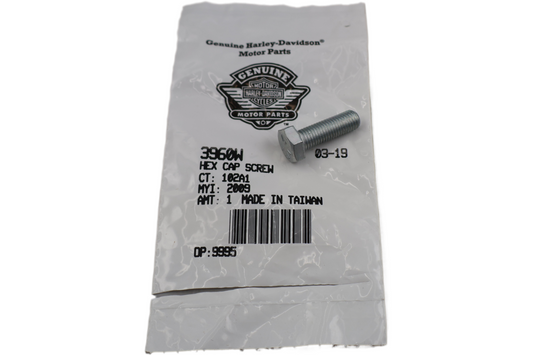 3960W NEW OEM HARLEY-DAVIDSON SCREW HEX CAP 5/16"-24 X 1" 3960W