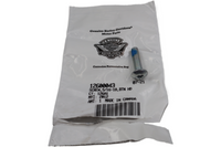 
              12600043 NEW OEM HARLEY-DAVIDSON SCREW 5/16-18 BUTTON HEAD 12600043
            