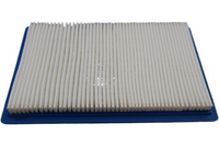 
              P0213.1AMA NEW OEM 2008-2010 BUELL 1125R/CR AIR FILTER ELEMENT P0213.1AMA
            