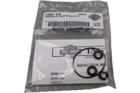 
              27635-01B NEW OEM 2001-2005 HARLEY-DAVIDSON INDUCTION MODULE HARDWARE KIT SOFTAIL DYNA TOURING
            
