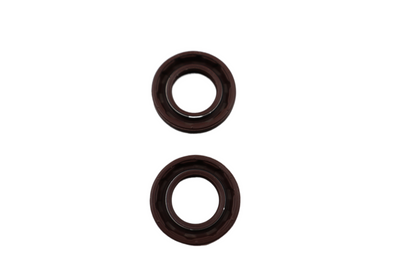 2002-2017 HARLEY VRSC V-ROD VROD SHIFTER SHAFT OIL SEAL 2-PACK NEW OEM 12071K