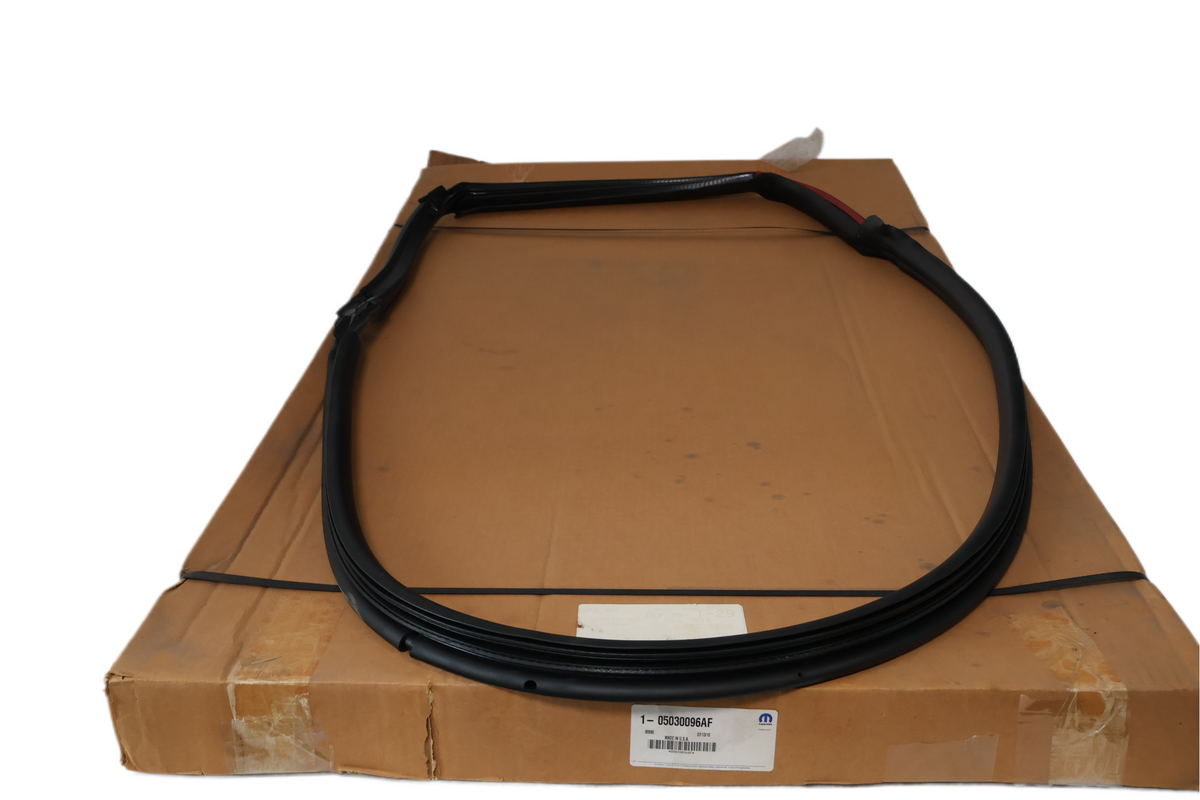 2006-10 DODGE VIPER RIGHT DOOR OPENING WEATHERSTRIP | NEW OEM | PART #5030096AF
