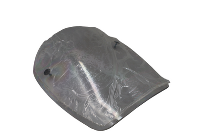 2006-2010 BUELL ULYSSES XB12X TALL WINDSCREEN | NEW OEM | PART #58214-06YB