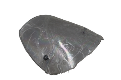 2006-2010 BUELL ULYSSES XB12X TALL WINDSCREEN | NEW OEM | PART #58214-06YB