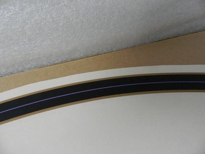 13800-00 NEW OEM 2000 HARLEY-DAVIDSON FLSTS HERITAGE SPRINGER REAR FENDER DECAL